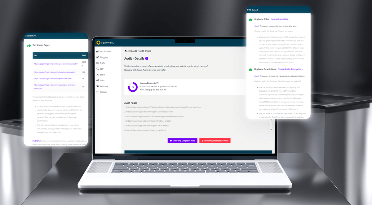 Squirrly SEO Audit